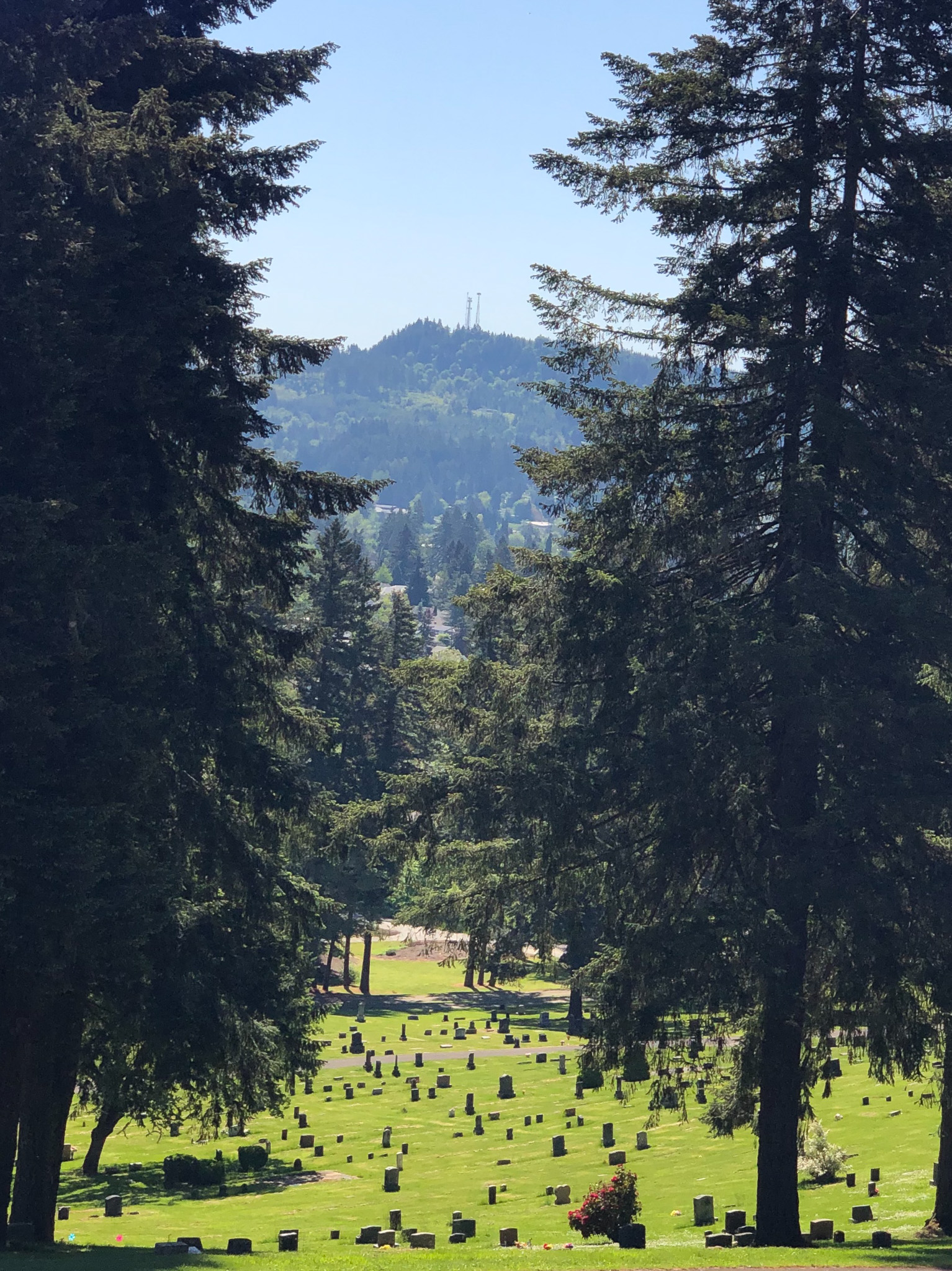 150 Years of History Fir Grove Cemetery